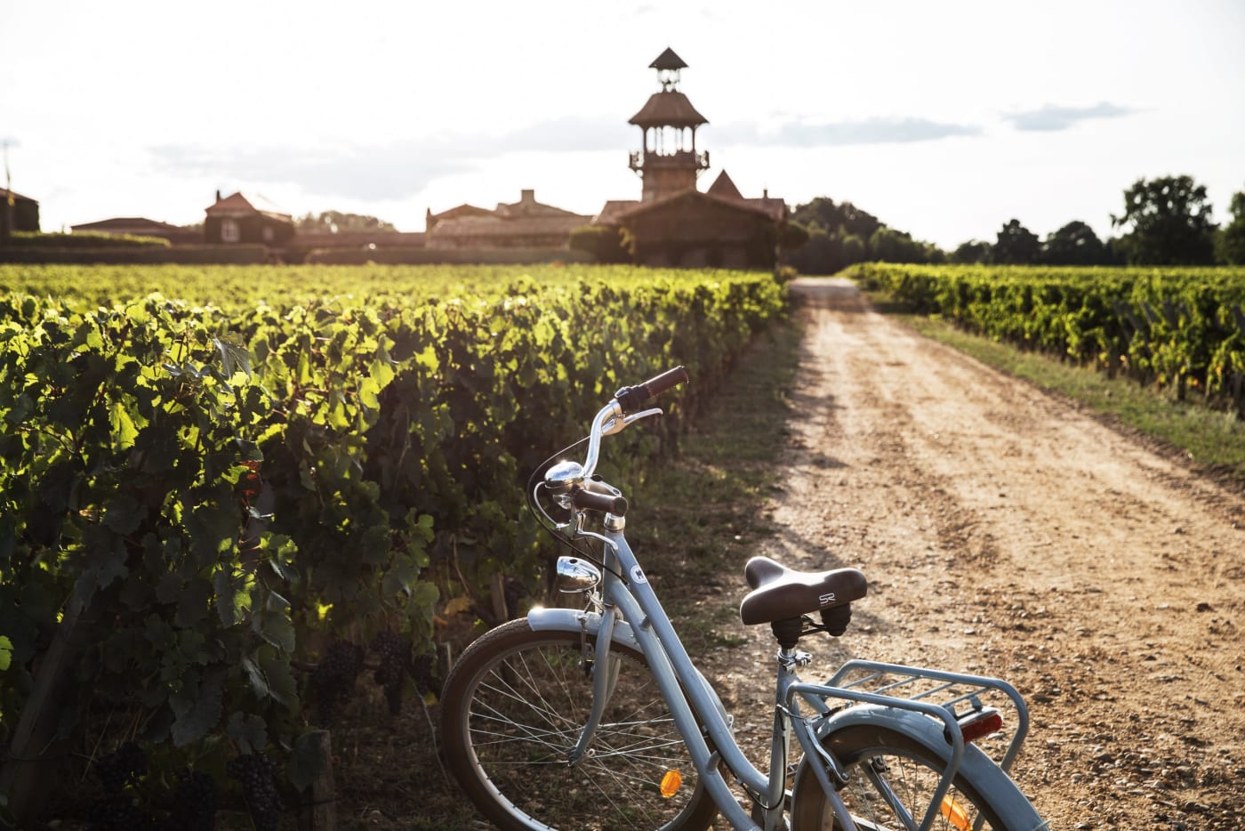 Bicycle resting by a dirt track between rows of vines, with the tower of Les Sources de Caudalie on the horizon