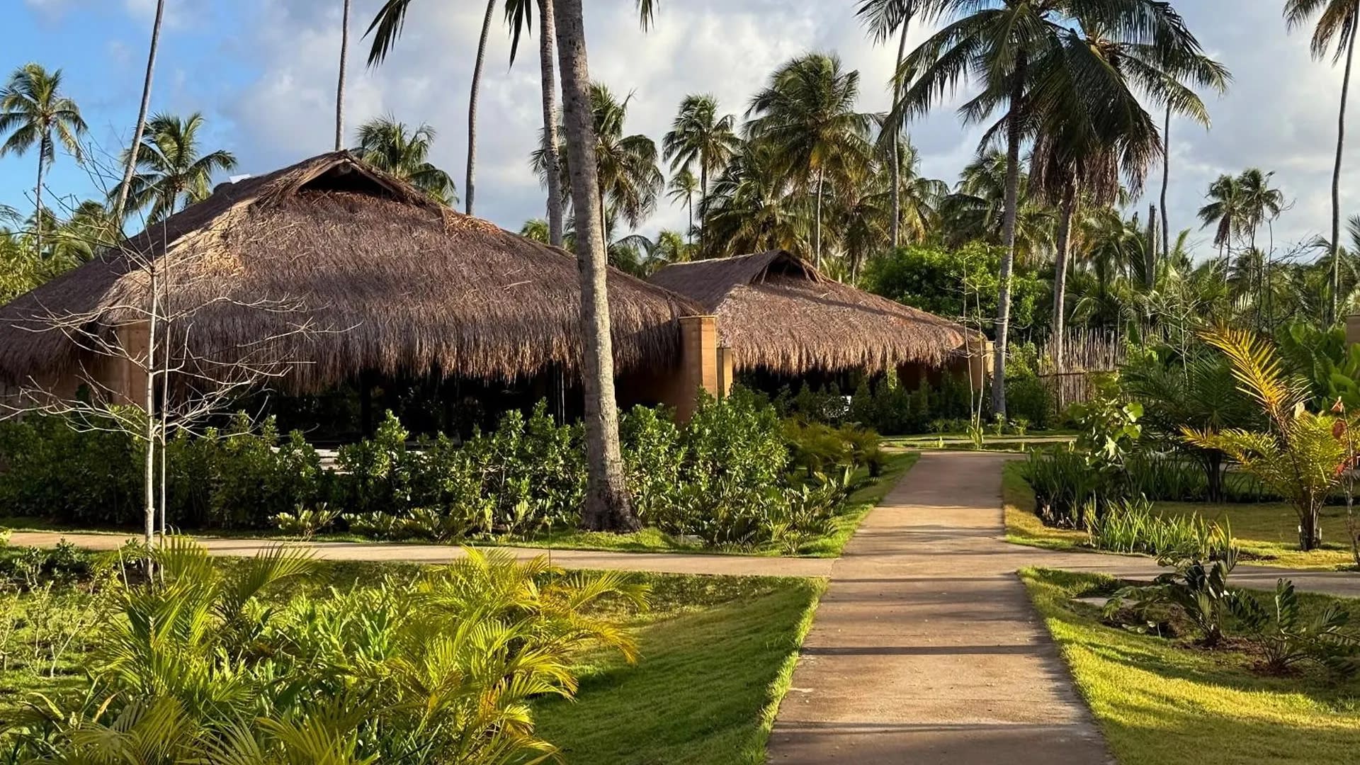 Les allées du domaine du Primitivo Hotel & Villas entre cocotiers