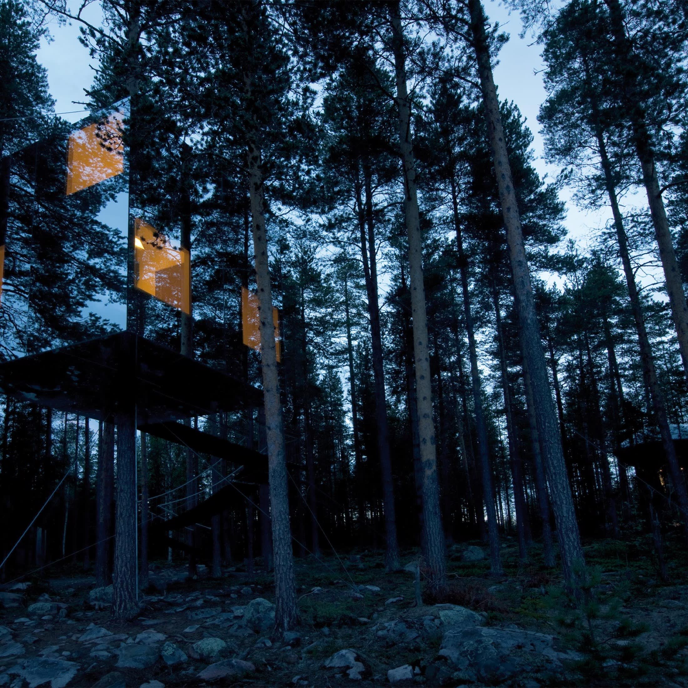 lrdh/articles/treehotel-mirrorcube-cabane-laponie