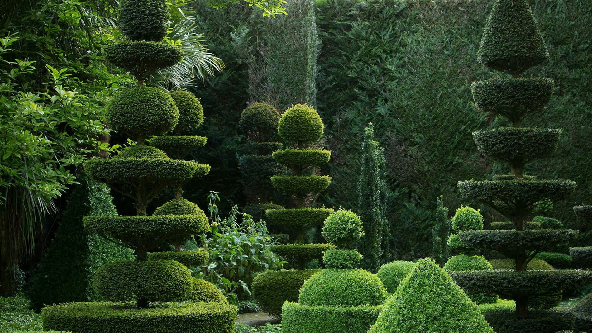 Les topiaires du jardin du château de la Ballue