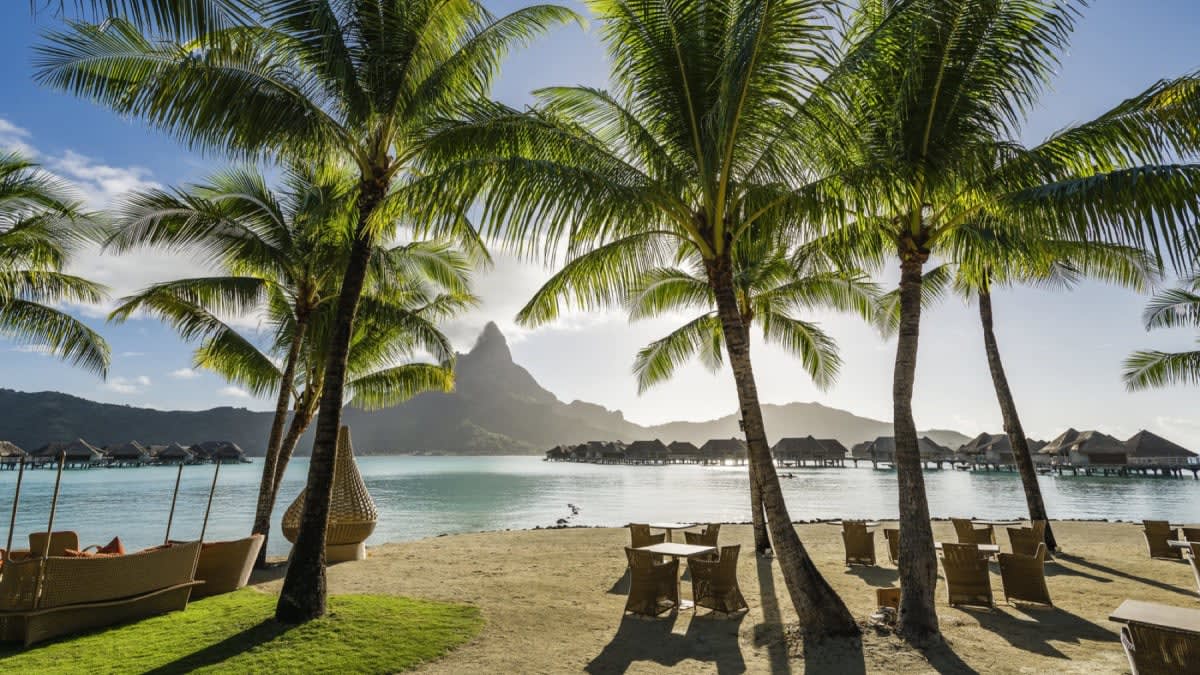Playa y cocoteros del InterContinental Bora Bora, con la isla principal enfrente