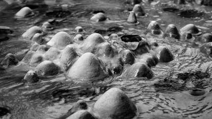 Rayna Detail_2592x1458