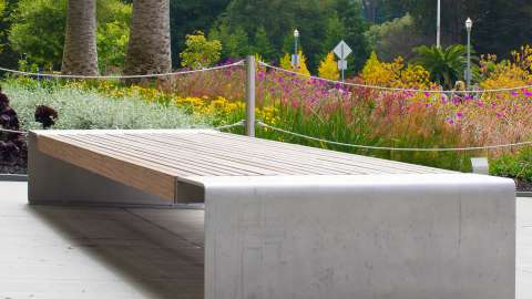 Cal Academy 5_CMG_Thumbnail_1920x1080