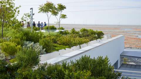 People on rooftop of Meta MPK20 Building surrounded by green planting overlooking brownfields.