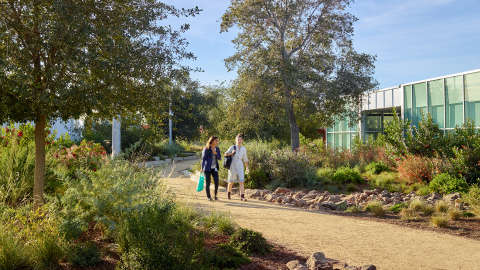 Gateway Games  Landscape Architecture Magazine