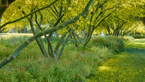 Sunny Campus 7_Thumbnail_1920x1080