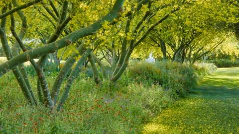 Sunnylands_Allee_Wide_3840x2160