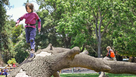 Flood-8_Wide_3840x2160