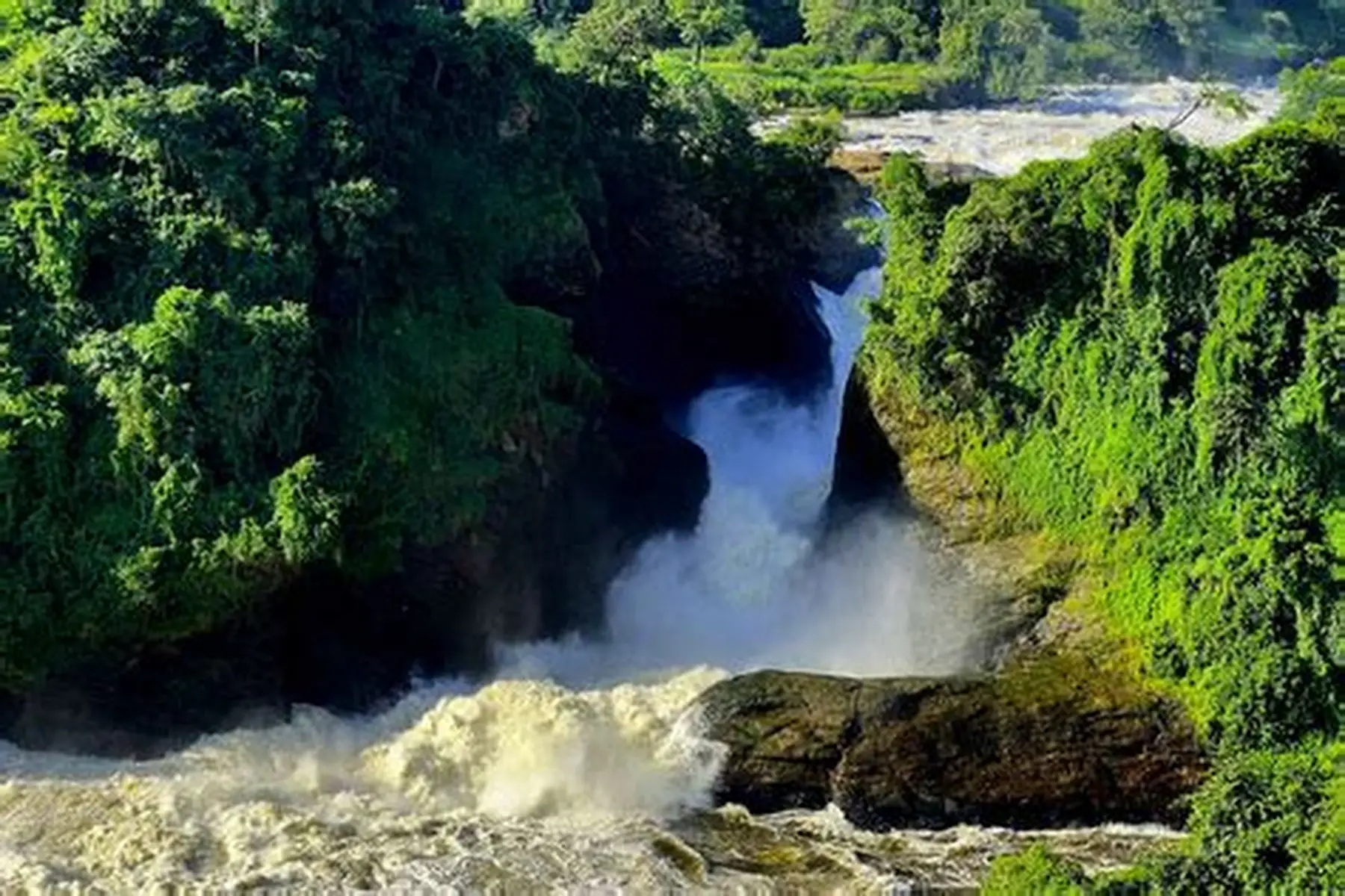 Murchison Falls Safari photo 4