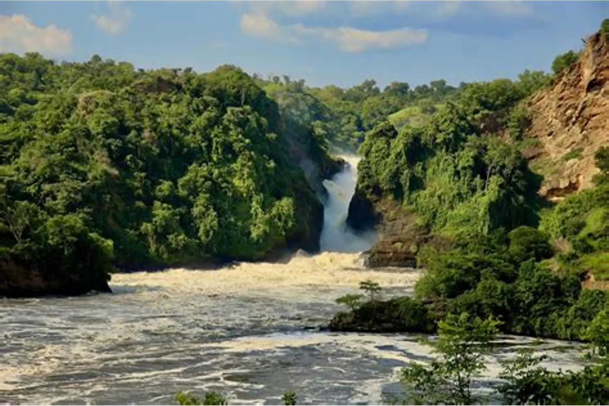 Murchison Falls Safari photo 3