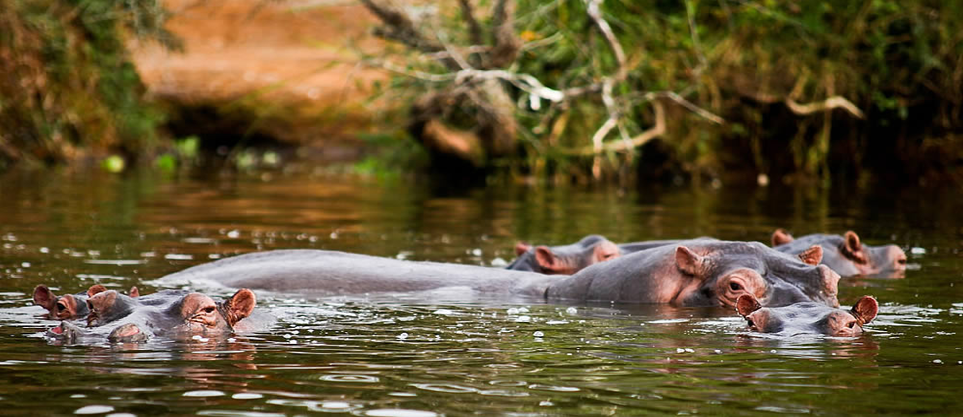 Lake Mburo National Park photo 4