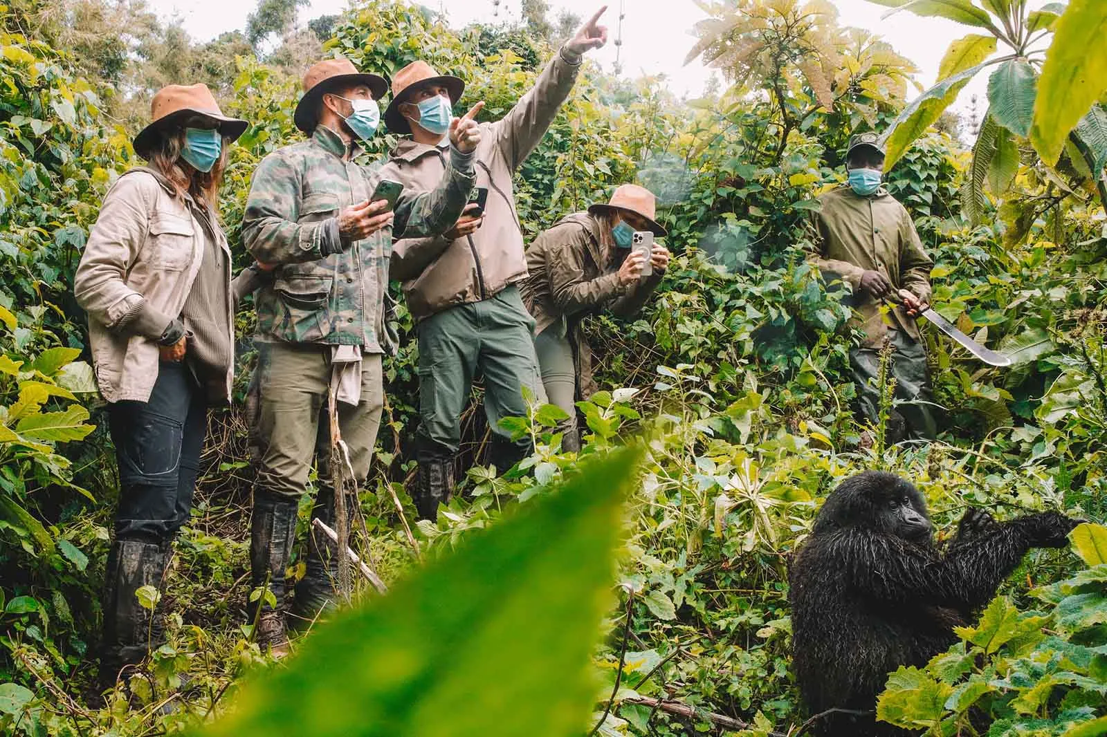 Kibale Chimp Weekend
