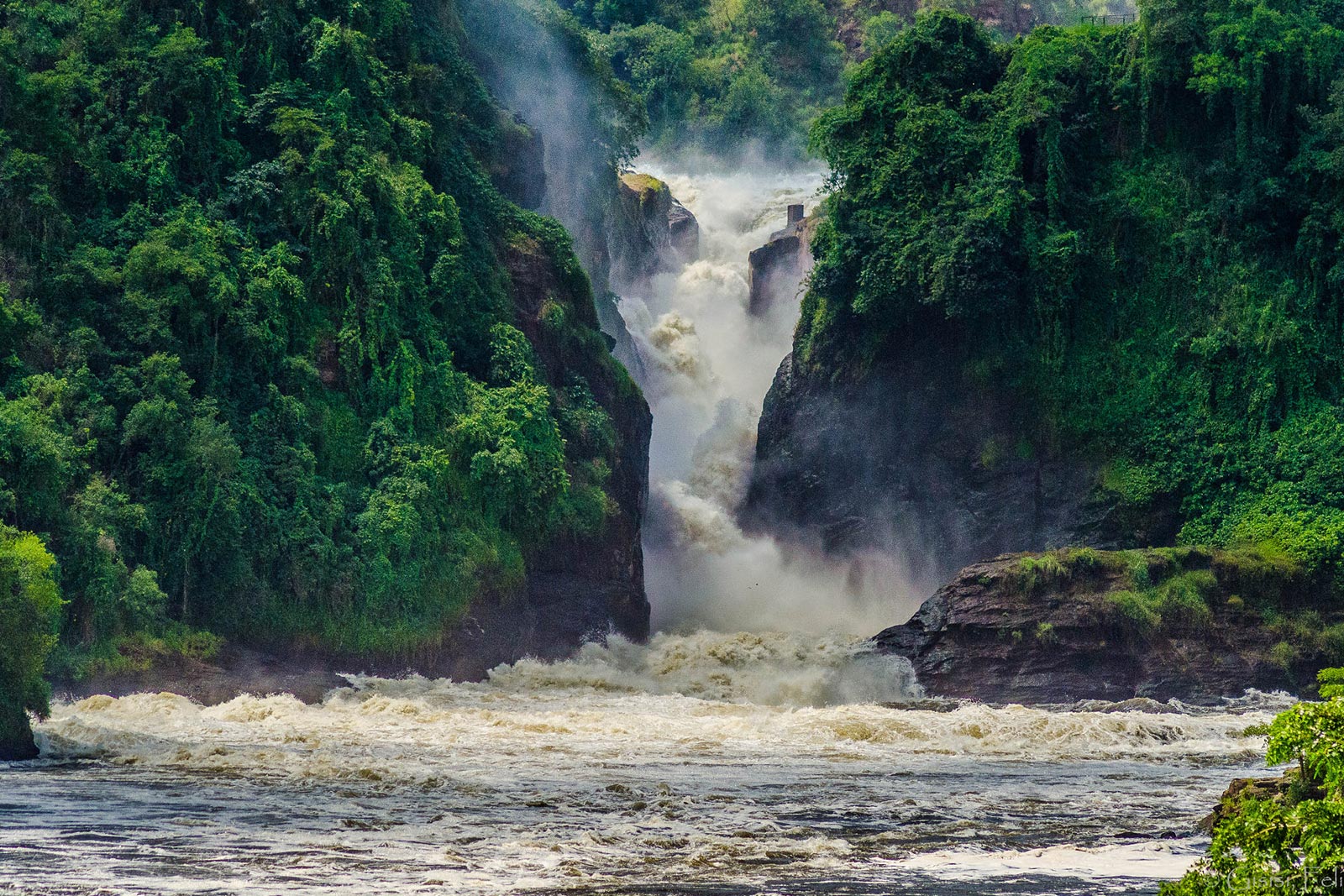 Murchison Nile Escape photo 5