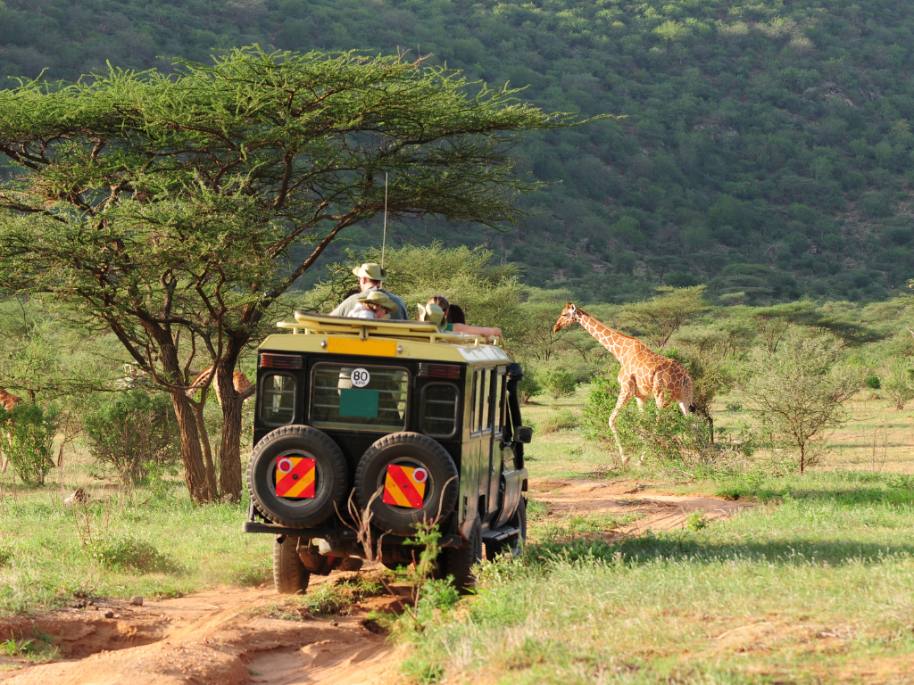 Custom Private Safaris