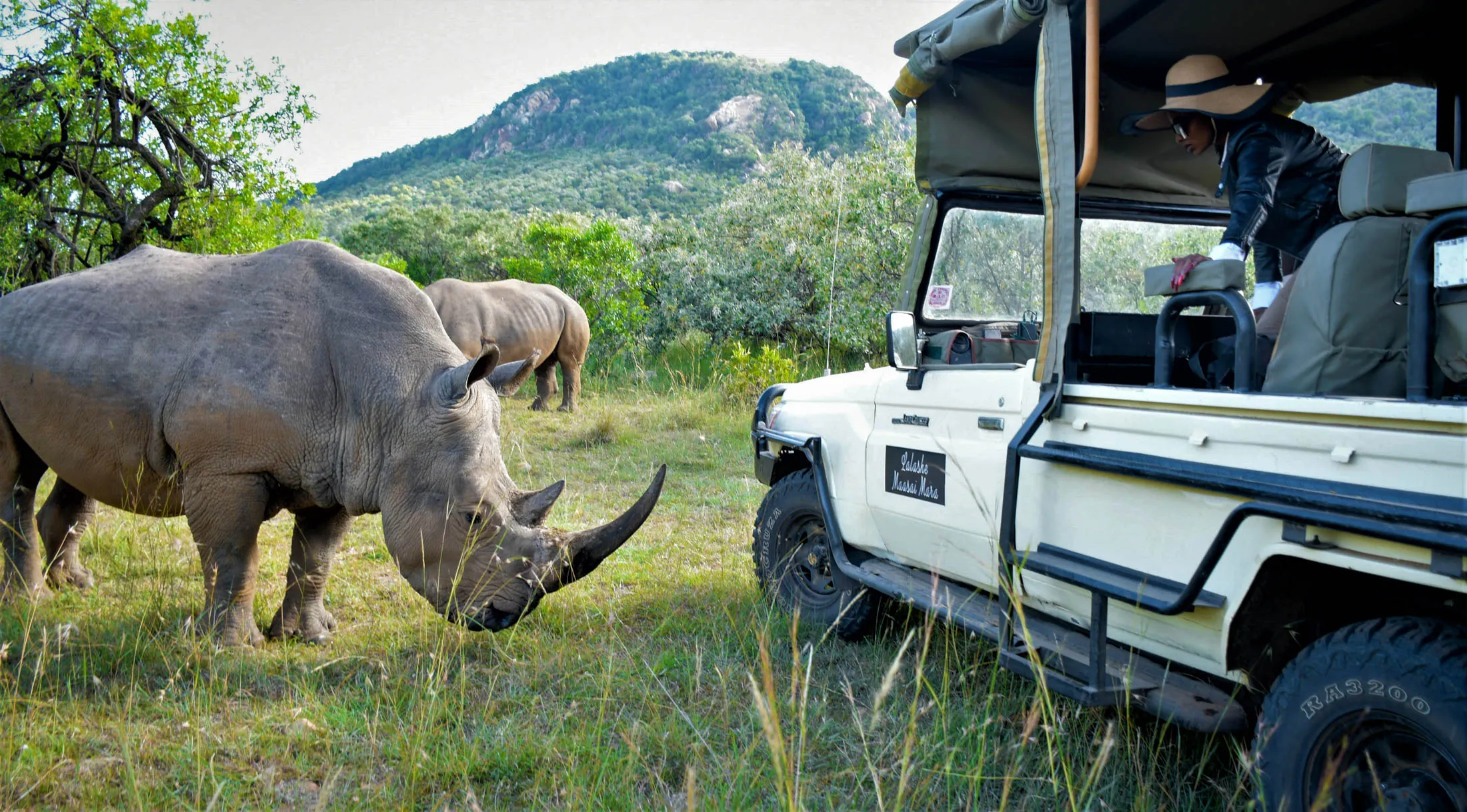 Savanna Safaris photo 4