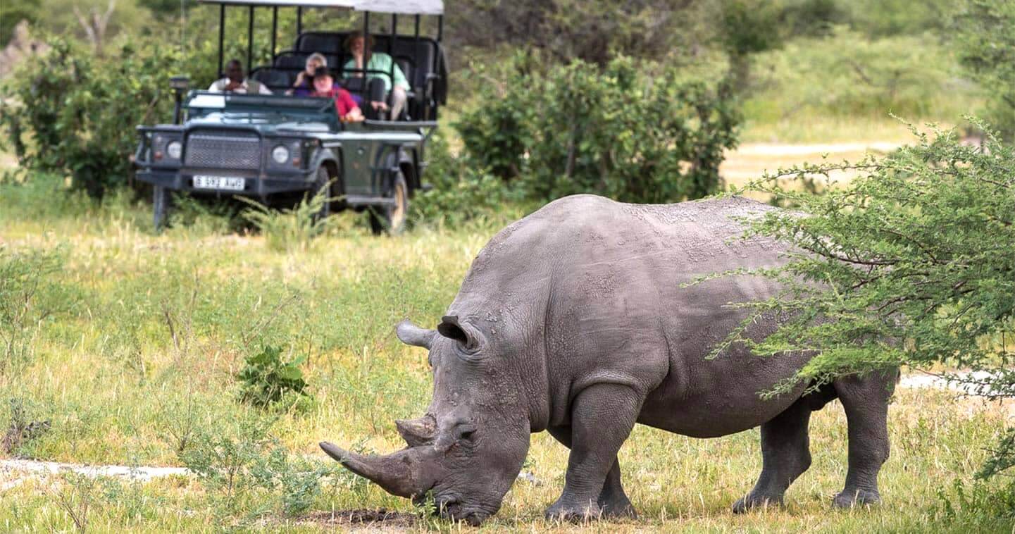 Savanna Safaris photo 2