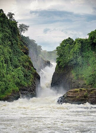 Nile River Adventures photo 1