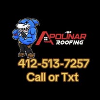 Apolinar Roofing