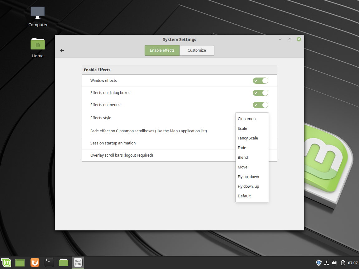 Linux Mint Review - Effects