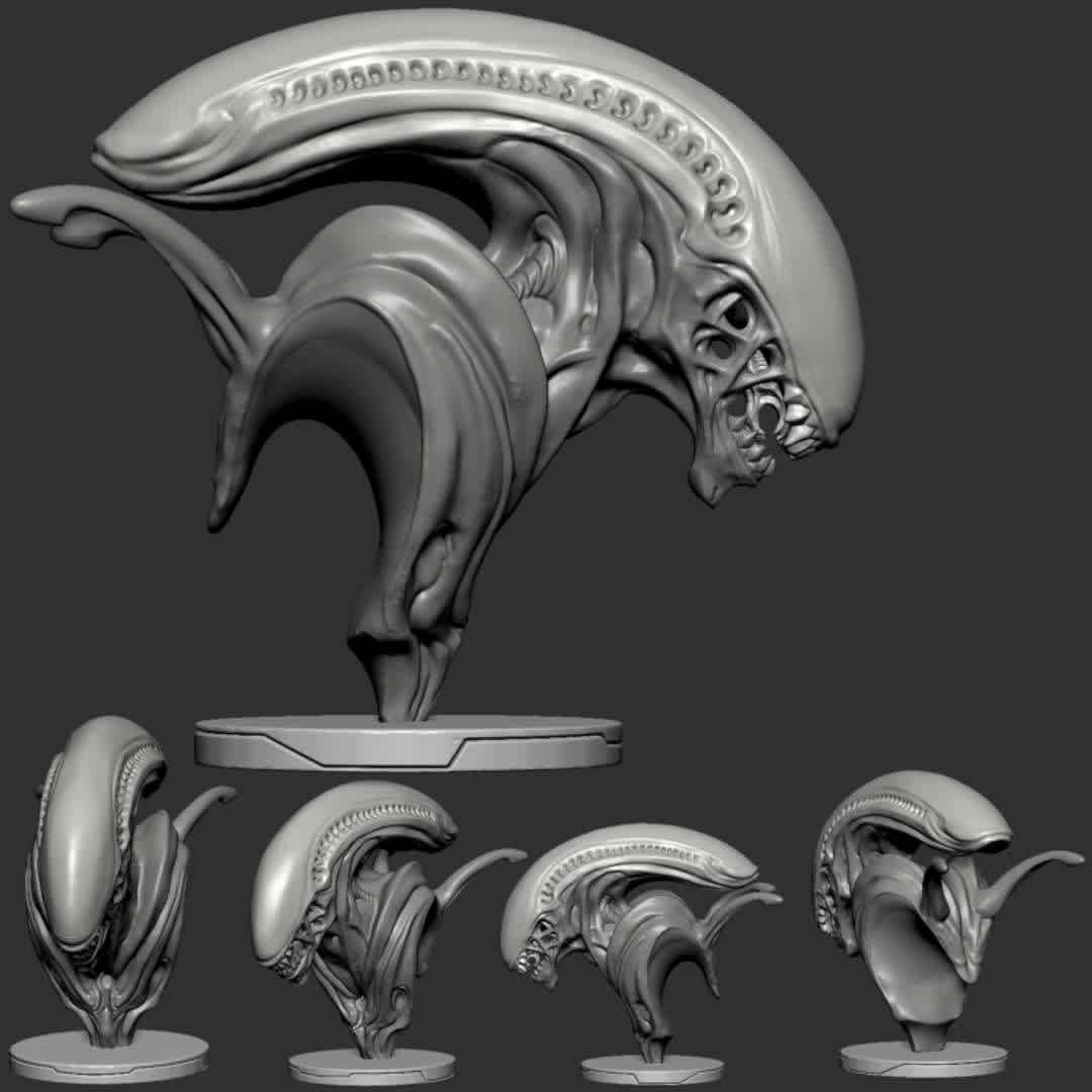 Alien xenomorph bust - alien-bust design refers to the alien xenomorph with an interesting and artistic shape. very suitable printed for your work table - The best files for 3D printing in the world. Stl models divided into parts to facilitate 3D printing. All kinds of characters, decoration, cosplay, prosthetics, pieces. Quality in 3D printing. Affordable 3D models. Low cost. Collective purchases of 3D files.