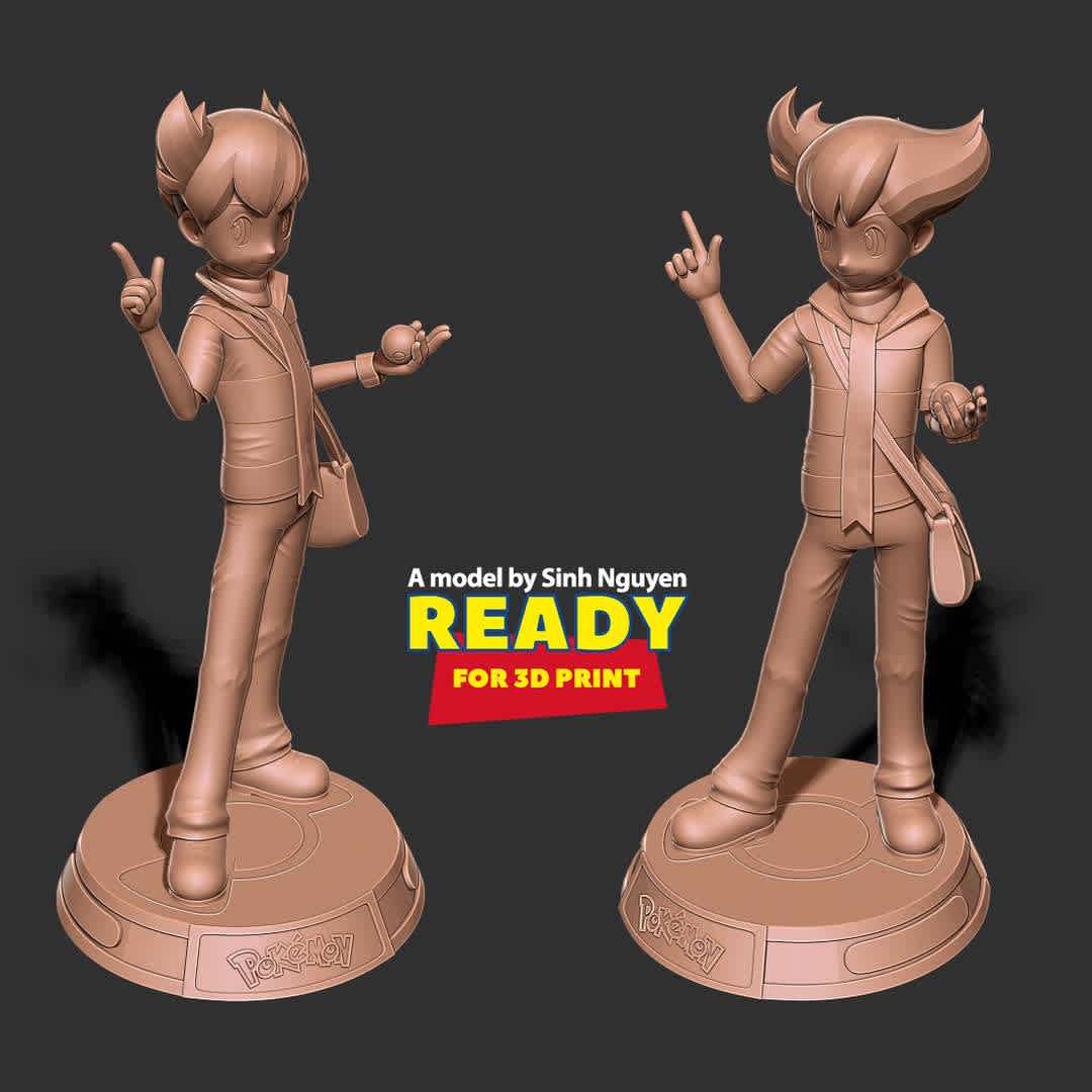 Barry - Pokemon Fanart - This model is like a thank you to the customers who have supported me during the past time.

Basic parameters:

- STL, OBJ format for 3D printing with 3 discrete objects
- ZTL format for Zbrush (version 2019.1.2 or later)
- Model height: 20cm
- Version 1.0 - Polygons: 1264421 & Vertices: 672912

Model ready for 3D printing.

Please vote positively for me if you find this model useful. - The best files for 3D printing in the world. Stl models divided into parts to facilitate 3D printing. All kinds of characters, decoration, cosplay, prosthetics, pieces. Quality in 3D printing. Affordable 3D models. Low cost. Collective purchases of 3D files.