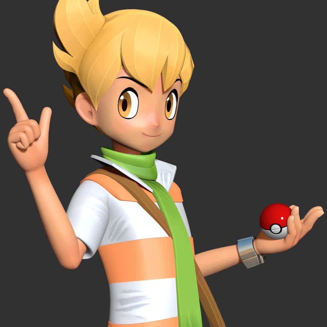 Barry - Pokemon Fanart - This model is like a thank you to the customers who have supported me during the past time.

Basic parameters:

- STL, OBJ format for 3D printing with 3 discrete objects
- ZTL format for Zbrush (version 2019.1.2 or later)
- Model height: 20cm
- Version 1.0 - Polygons: 1264421 & Vertices: 672912

Model ready for 3D printing.

Please vote positively for me if you find this model useful. - The best files for 3D printing in the world. Stl models divided into parts to facilitate 3D printing. All kinds of characters, decoration, cosplay, prosthetics, pieces. Quality in 3D printing. Affordable 3D models. Low cost. Collective purchases of 3D files.