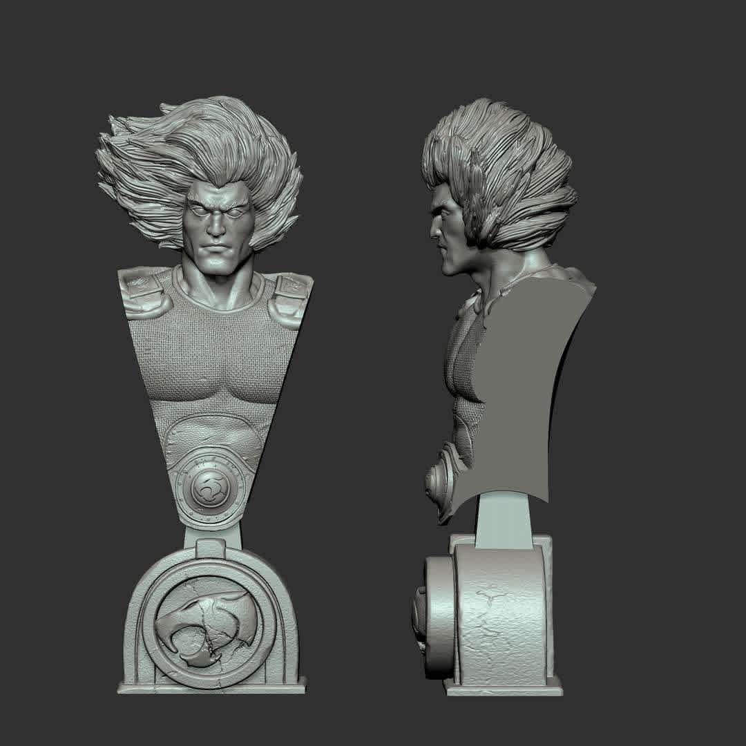 Bust Lion-O Thundercats - Lion-o bust of the Thundercats. - The best files for 3D printing in the world. Stl models divided into parts to facilitate 3D printing. All kinds of characters, decoration, cosplay, prosthetics, pieces. Quality in 3D printing. Affordable 3D models. Low cost. Collective purchases of 3D files.