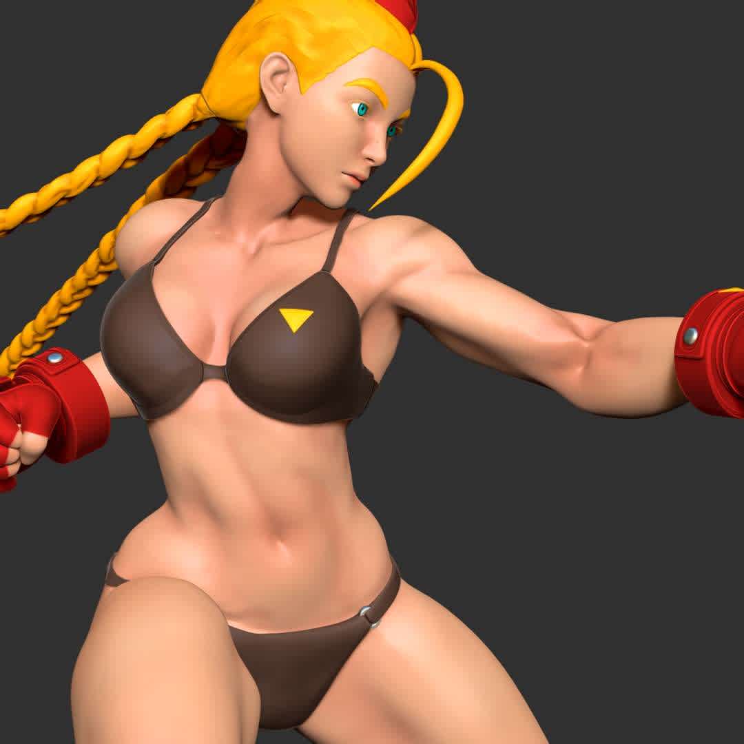 Cammy Fanart - I really like Cammy because she's so strong & powerful

-- Information: this model has a height of 25cm.

When you buy this model, you will own:

1. STL, OBJ file with 06 separated files (with key to connect together) is ready for 3D printing.
2. Zbrush original files (ZTL) for you to customize as you like.

This is version 1.0 of this model.

Hope you like her. Thanks for viewing! - Os melhores arquivos para impressão 3D do mundo. Modelos stl divididos em partes para facilitar a impressão 3D. Todos os tipos de personagens, decoração, cosplay, próteses, peças. Qualidade na impressão 3D. Modelos 3D com preço acessível. Baixo custo. Compras coletivas de arquivos 3D.