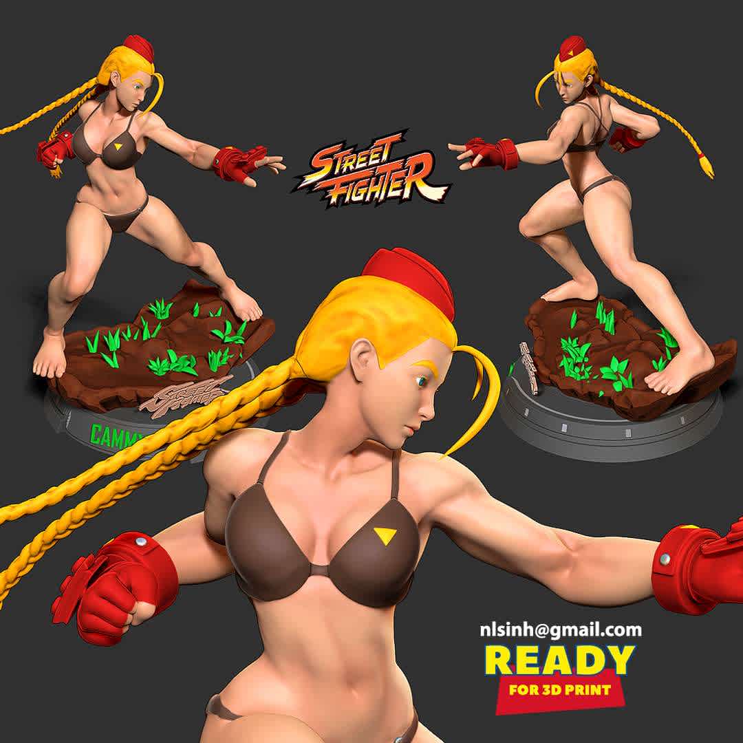 Cammy Fanart - I really like Cammy because she's so strong & powerful

-- Information: this model has a height of 25cm.

When you buy this model, you will own:

1. STL, OBJ file with 06 separated files (with key to connect together) is ready for 3D printing.
2. Zbrush original files (ZTL) for you to customize as you like.

This is version 1.0 of this model.

Hope you like her. Thanks for viewing! - The best files for 3D printing in the world. Stl models divided into parts to facilitate 3D printing. All kinds of characters, decoration, cosplay, prosthetics, pieces. Quality in 3D printing. Affordable 3D models. Low cost. Collective purchases of 3D files.