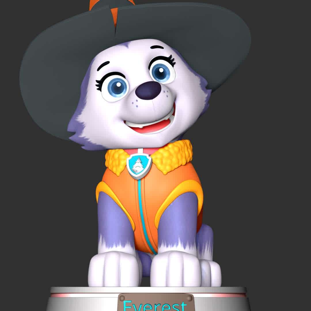 Everest Halloween - Paw Patrol - These information of model:

**- The height of current model is 20 cm and you can free to scale it.**

**- Format files: STL, OBJ to supporting 3D printing.**

Please don't hesitate to contact me if you have any issues question. - The best files for 3D printing in the world. Stl models divided into parts to facilitate 3D printing. All kinds of characters, decoration, cosplay, prosthetics, pieces. Quality in 3D printing. Affordable 3D models. Low cost. Collective purchases of 3D files.