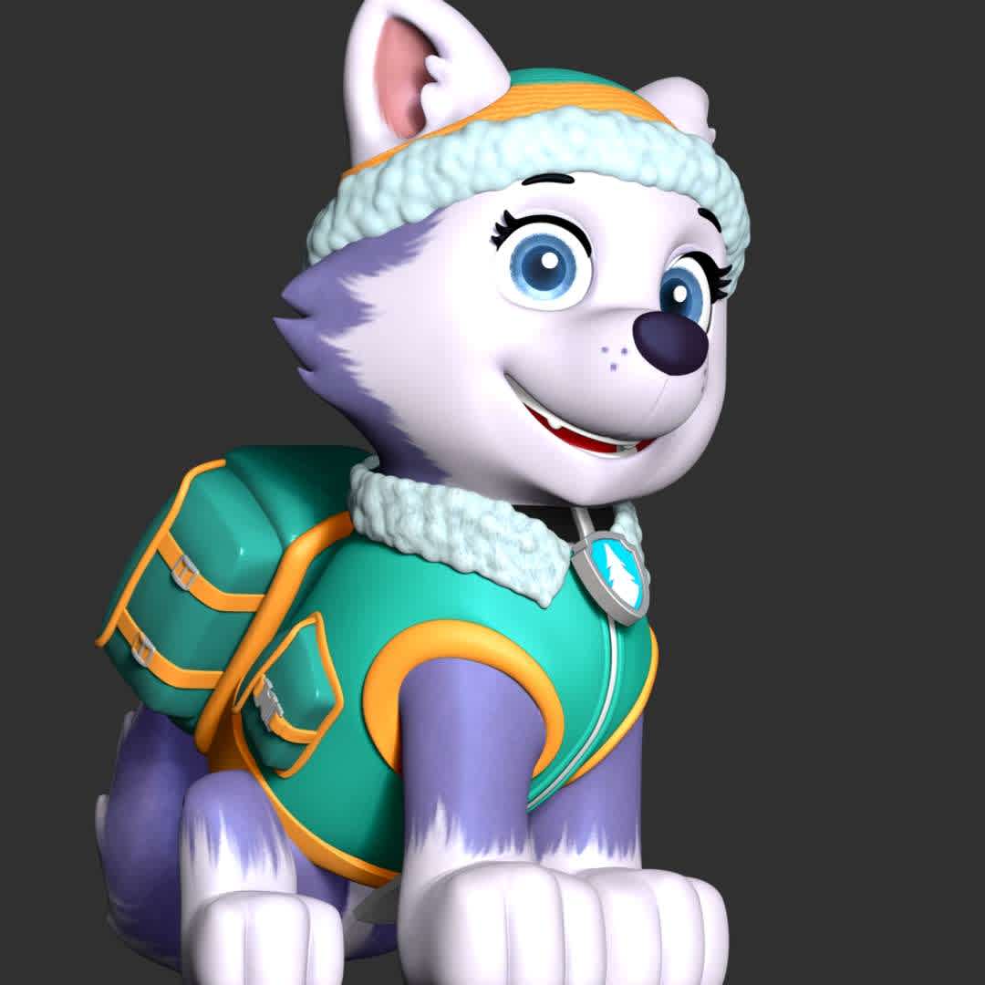 Everest - paw patrol - These information of model:

**- The height of current model is 20 cm and you can free to scale it.**

**- Format files: STL, OBJ to supporting 3D printing.**

Please don't hesitate to contact me if you have any issues question. - The best files for 3D printing in the world. Stl models divided into parts to facilitate 3D printing. All kinds of characters, decoration, cosplay, prosthetics, pieces. Quality in 3D printing. Affordable 3D models. Low cost. Collective purchases of 3D files.