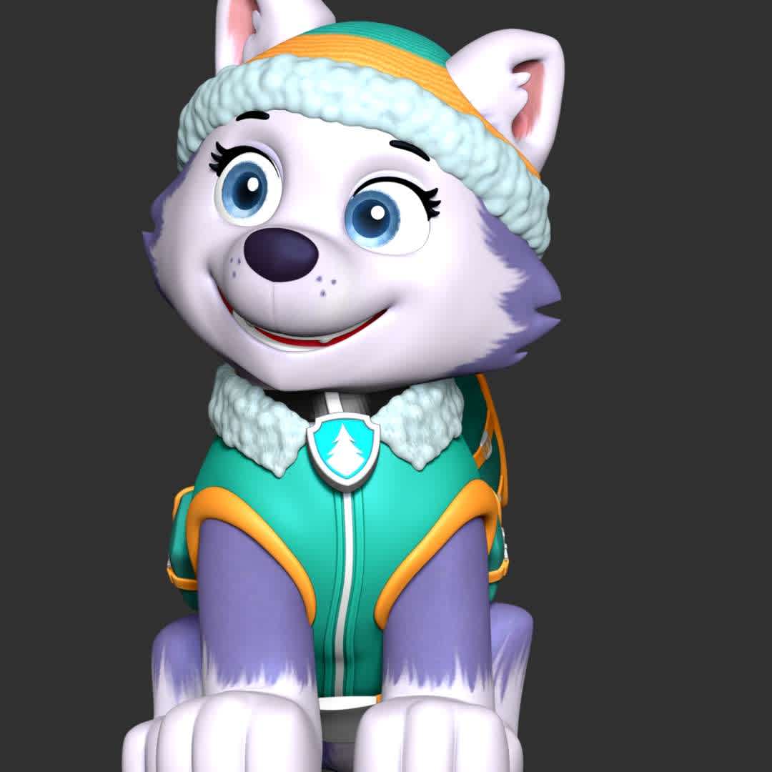 Everest - paw patrol - These information of model:

**- The height of current model is 20 cm and you can free to scale it.**

**- Format files: STL, OBJ to supporting 3D printing.**

Please don't hesitate to contact me if you have any issues question. - The best files for 3D printing in the world. Stl models divided into parts to facilitate 3D printing. All kinds of characters, decoration, cosplay, prosthetics, pieces. Quality in 3D printing. Affordable 3D models. Low cost. Collective purchases of 3D files.