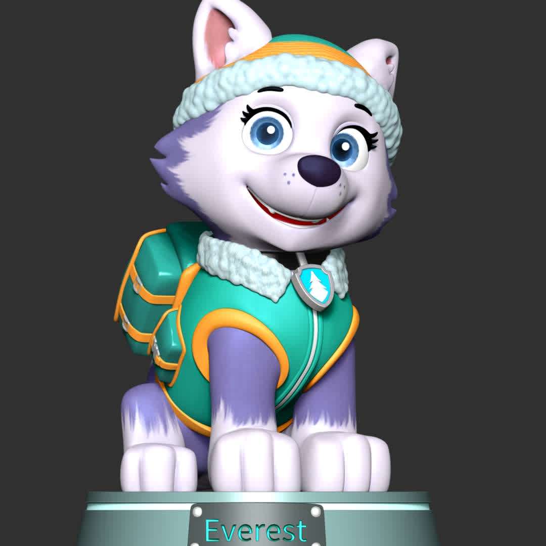 Everest - paw patrol - These information of model:

**- The height of current model is 20 cm and you can free to scale it.**

**- Format files: STL, OBJ to supporting 3D printing.**

Please don't hesitate to contact me if you have any issues question. - The best files for 3D printing in the world. Stl models divided into parts to facilitate 3D printing. All kinds of characters, decoration, cosplay, prosthetics, pieces. Quality in 3D printing. Affordable 3D models. Low cost. Collective purchases of 3D files.