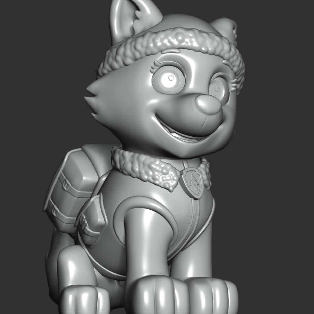 Everest - paw patrol - These information of model:

**- The height of current model is 20 cm and you can free to scale it.**

**- Format files: STL, OBJ to supporting 3D printing.**

Please don't hesitate to contact me if you have any issues question. - The best files for 3D printing in the world. Stl models divided into parts to facilitate 3D printing. All kinds of characters, decoration, cosplay, prosthetics, pieces. Quality in 3D printing. Affordable 3D models. Low cost. Collective purchases of 3D files.