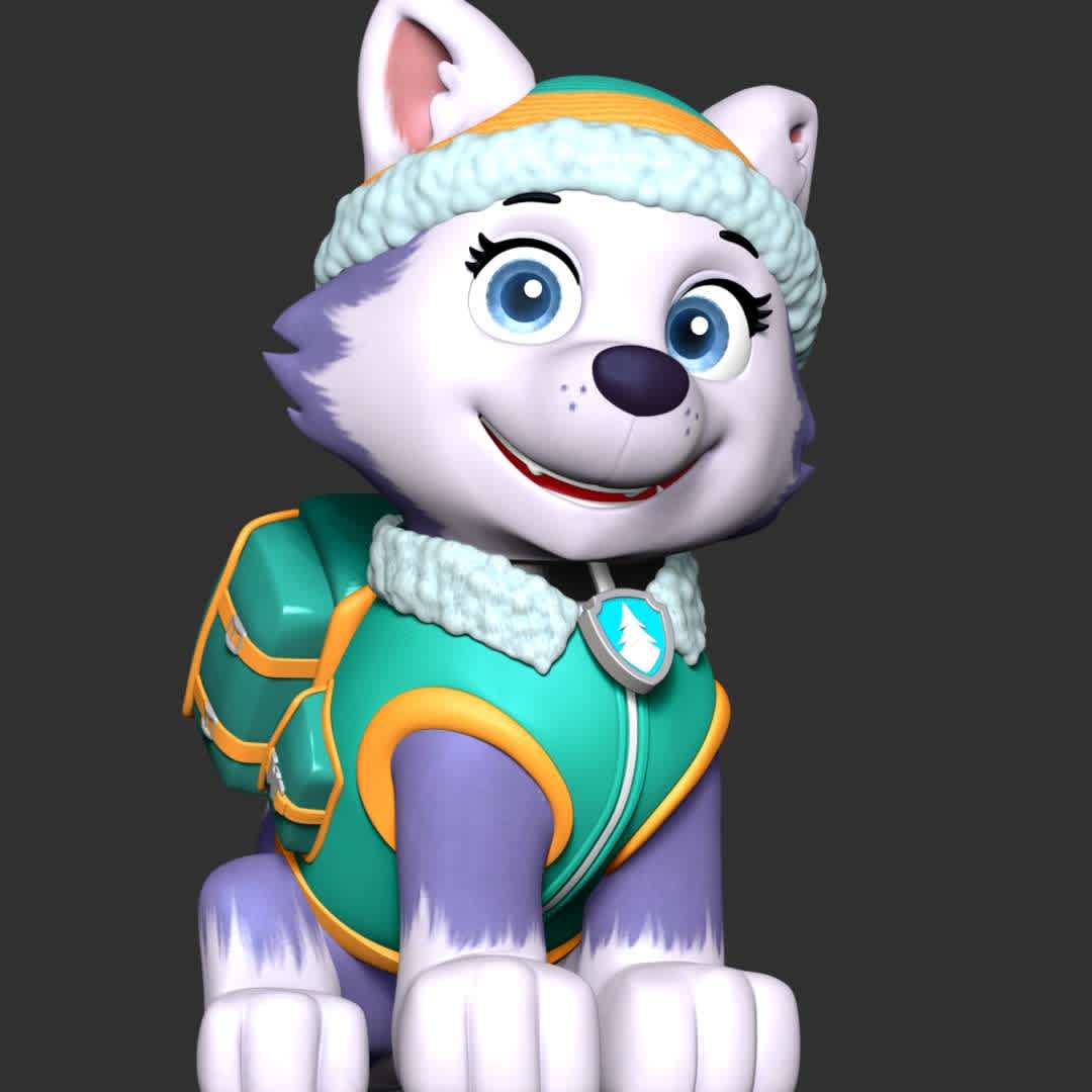 Everest - paw patrol - These information of model:

**- The height of current model is 20 cm and you can free to scale it.**

**- Format files: STL, OBJ to supporting 3D printing.**

Please don't hesitate to contact me if you have any issues question. - The best files for 3D printing in the world. Stl models divided into parts to facilitate 3D printing. All kinds of characters, decoration, cosplay, prosthetics, pieces. Quality in 3D printing. Affordable 3D models. Low cost. Collective purchases of 3D files.