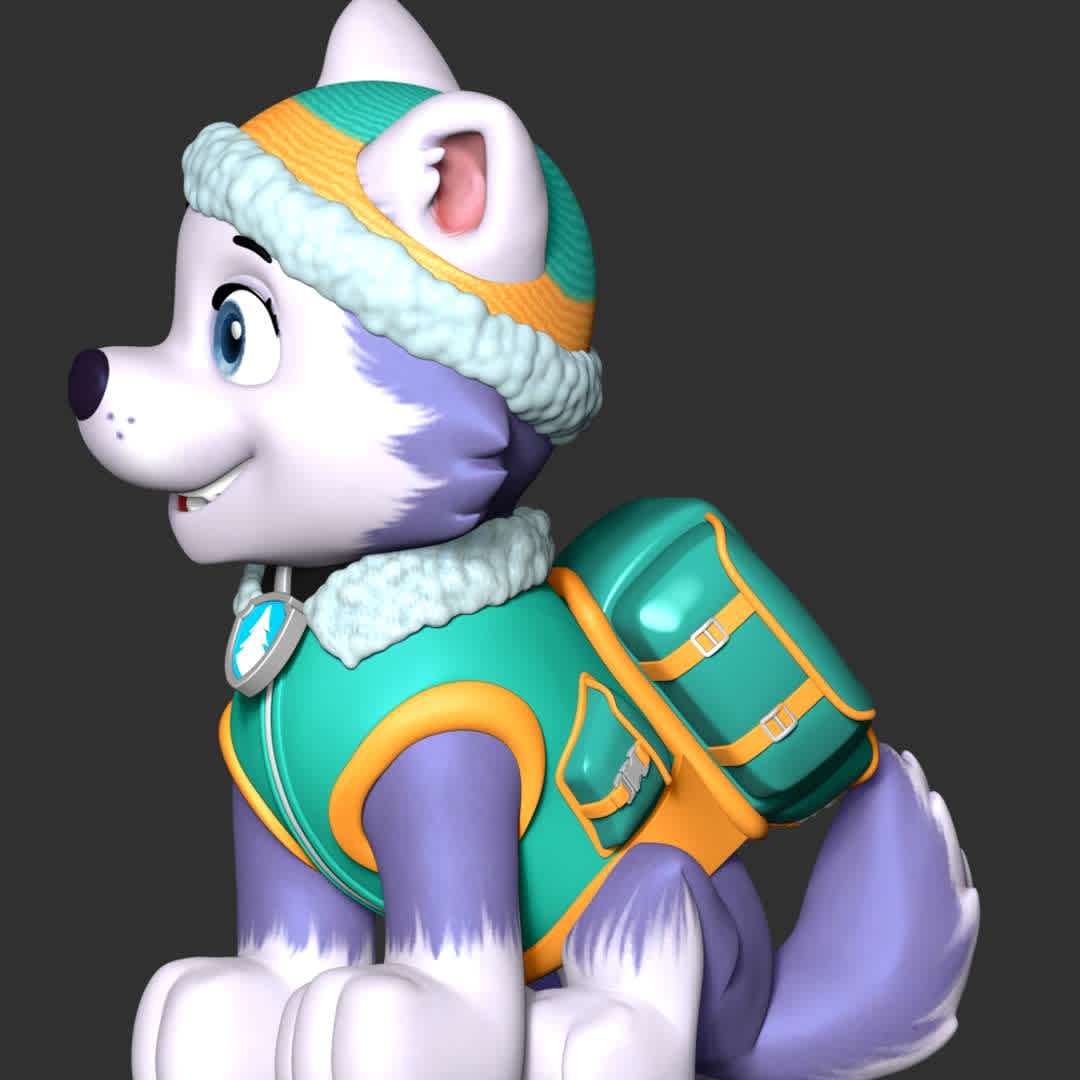 Everest - paw patrol - These information of model:

**- The height of current model is 20 cm and you can free to scale it.**

**- Format files: STL, OBJ to supporting 3D printing.**

Please don't hesitate to contact me if you have any issues question. - The best files for 3D printing in the world. Stl models divided into parts to facilitate 3D printing. All kinds of characters, decoration, cosplay, prosthetics, pieces. Quality in 3D printing. Affordable 3D models. Low cost. Collective purchases of 3D files.