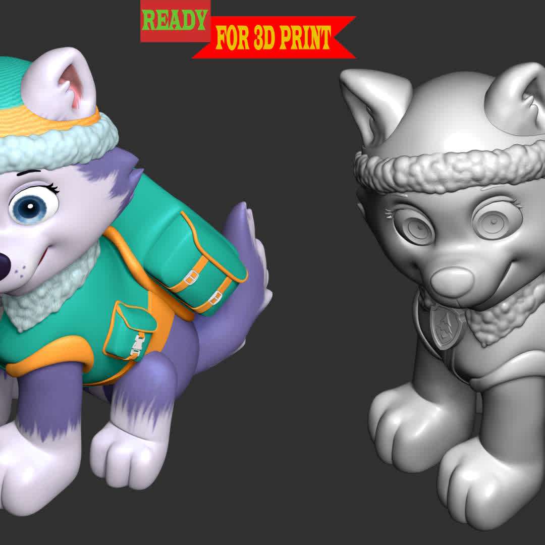 Everest - Paw Patrol - Everest is a female husky who debuted in the Season 2 episode "The New Pup". She is the PAW Patrol's snowy mountain pup, the 7th pup, and the 9th overall member of the team.

These information of this model:

 - Files format: STL, OBJ (included 04 separated files is ready for 3D printing). 
 - Zbrush original file (ZTL) for you to customize as you like.
 - The height is 20 cm
 - The version 1.0. 

The model ready for 3D printing.
Hope you like her.
Don't hesitate to contact me if there are any problems during printing the model. - The best files for 3D printing in the world. Stl models divided into parts to facilitate 3D printing. All kinds of characters, decoration, cosplay, prosthetics, pieces. Quality in 3D printing. Affordable 3D models. Low cost. Collective purchases of 3D files.