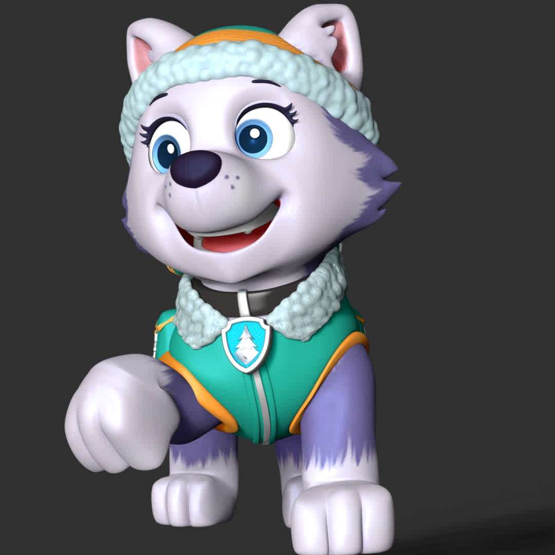Everest - **Everest is a female husky who debuted in the Season 2 episode "The New Pup". She is the PAW Patrol's snowy mountain pup, the 7th pup, and the 9th overall member of the team.**

**These information of this model:**

- The model ready for 3D printing.
- The model current size is 20cm height, but you are free to scale it.
- Files format: STL, OBJ (included 03 separated files is ready for 3D printing).
- Also includes Zbrush original file (ZTL) for you to customize as you like.

The model ready for 3D printing.
Hope you like it.

Don't hesitate to contact me if there are any problems during printing the model. - Os melhores arquivos para impressão 3D do mundo. Modelos stl divididos em partes para facilitar a impressão 3D. Todos os tipos de personagens, decoração, cosplay, próteses, peças. Qualidade na impressão 3D. Modelos 3D com preço acessível. Baixo custo. Compras coletivas de arquivos 3D.