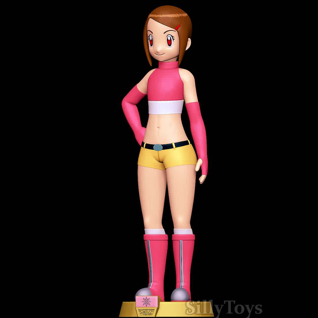 Hikari Yagami - Digimon - Good old Hikari Yagami - The best files for 3D printing in the world. Stl models divided into parts to facilitate 3D printing. All kinds of characters, decoration, cosplay, prosthetics, pieces. Quality in 3D printing. Affordable 3D models. Low cost. Collective purchases of 3D files.