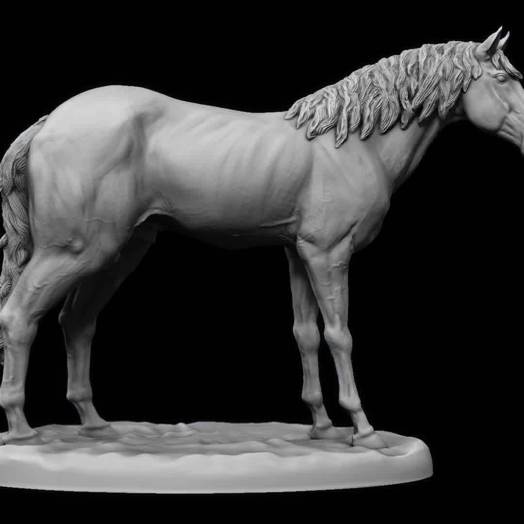 Horse Tabletop miniature  - RPG - I made this horse for studies. I'm making the file available free of charge for printing at 32mm scale (tabletop) - The best files for 3D printing in the world. Stl models divided into parts to facilitate 3D printing. All kinds of characters, decoration, cosplay, prosthetics, pieces. Quality in 3D printing. Affordable 3D models. Low cost. Collective purchases of 3D files.