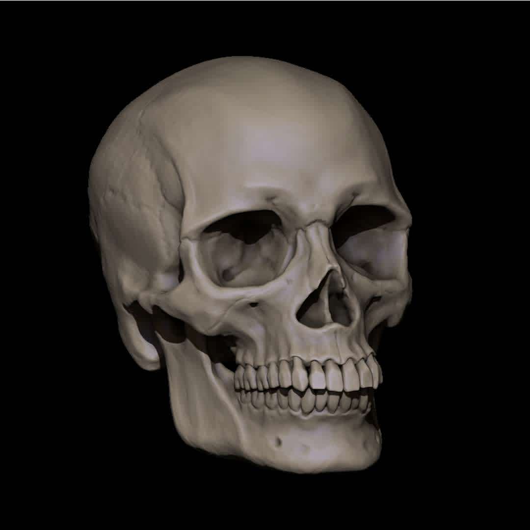 Human Skull - Realistic Human Skull - The best files for 3D printing in the world. Stl models divided into parts to facilitate 3D printing. All kinds of characters, decoration, cosplay, prosthetics, pieces. Quality in 3D printing. Affordable 3D models. Low cost. Collective purchases of 3D files.