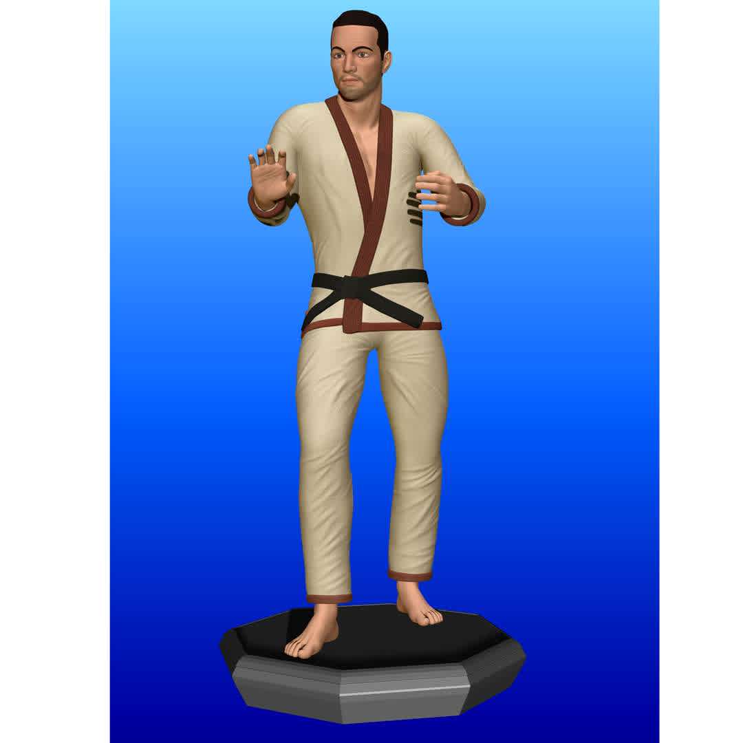 jiu jitsu - Modelo criar no zbrush, podendo ser dimensionado no tamanho de sua preferencia - Os melhores arquivos para impressão 3D do mundo. Modelos stl divididos em partes para facilitar a impressão 3D. Todos os tipos de personagens, decoração, cosplay, próteses, peças. Qualidade na impressão 3D. Modelos 3D com preço acessível. Baixo custo. Compras coletivas de arquivos 3D.