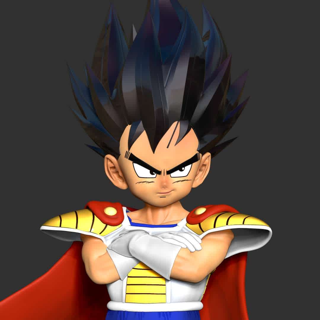 Kid Vegeta - Kid Vegeta is the child version of Vegeta who appears as a character in the Dragon Ball Series.

Basic parameters:

- STL, OBJ format for 3D printing with 04 discrete objects
- ZTL format for Zbrush (version 2019.1.2 or later)
- Model height: 20cm
- Version 1.0 - Polygons: 1820376 & Vertices: 962908

Model ready for 3D printing.

Please vote positively for me if you find this model useful. - Os melhores arquivos para impressão 3D do mundo. Modelos stl divididos em partes para facilitar a impressão 3D. Todos os tipos de personagens, decoração, cosplay, próteses, peças. Qualidade na impressão 3D. Modelos 3D com preço acessível. Baixo custo. Compras coletivas de arquivos 3D.