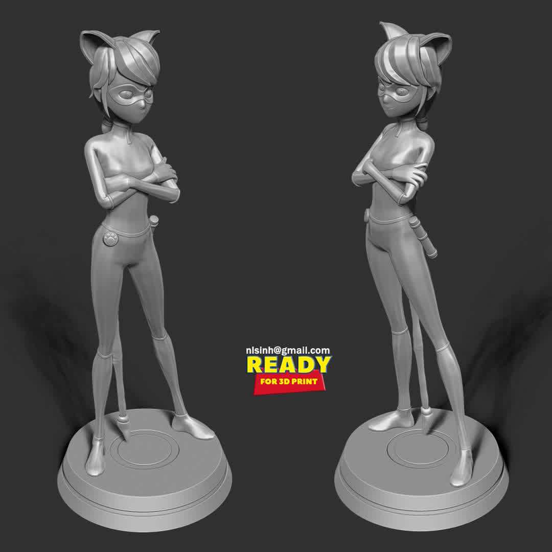 Lady Noir  - When you purchase this model, you will own:

- STL, OBJ file with 04 separated files (with key to connect together) is ready for 3D printing.

- Zbrush original files (ZTL) for you to customize as you like.

This is version 1.0 of this model.

Hope you like her. Thanks for viewing! - The best files for 3D printing in the world. Stl models divided into parts to facilitate 3D printing. All kinds of characters, decoration, cosplay, prosthetics, pieces. Quality in 3D printing. Affordable 3D models. Low cost. Collective purchases of 3D files.