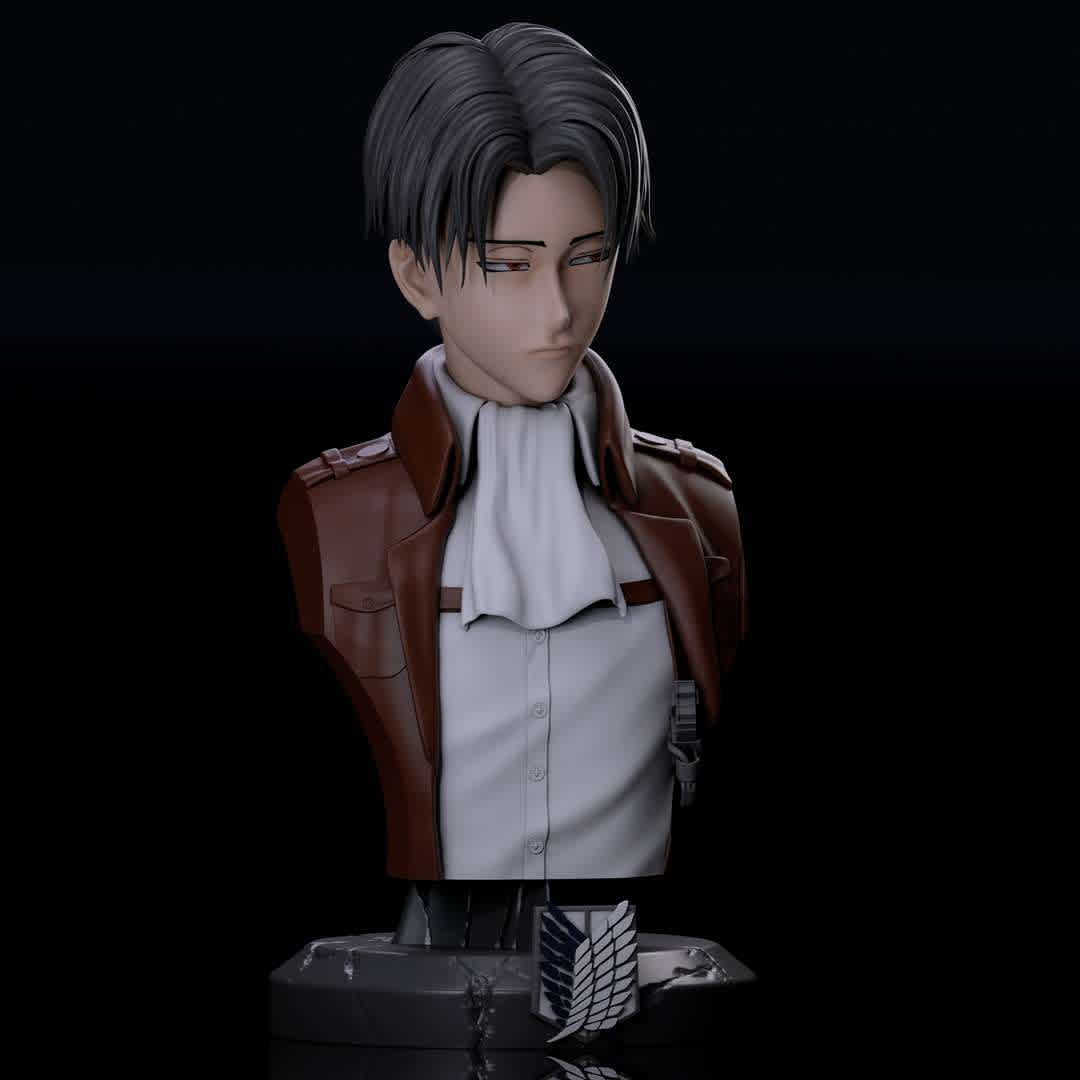 LEVI ACKERMAN, ATACK ON TITAN - Modelo de alta qualidade. - Os melhores arquivos para impressão 3D do mundo. Modelos stl divididos em partes para facilitar a impressão 3D. Todos os tipos de personagens, decoração, cosplay, próteses, peças. Qualidade na impressão 3D. Modelos 3D com preço acessível. Baixo custo. Compras coletivas de arquivos 3D.