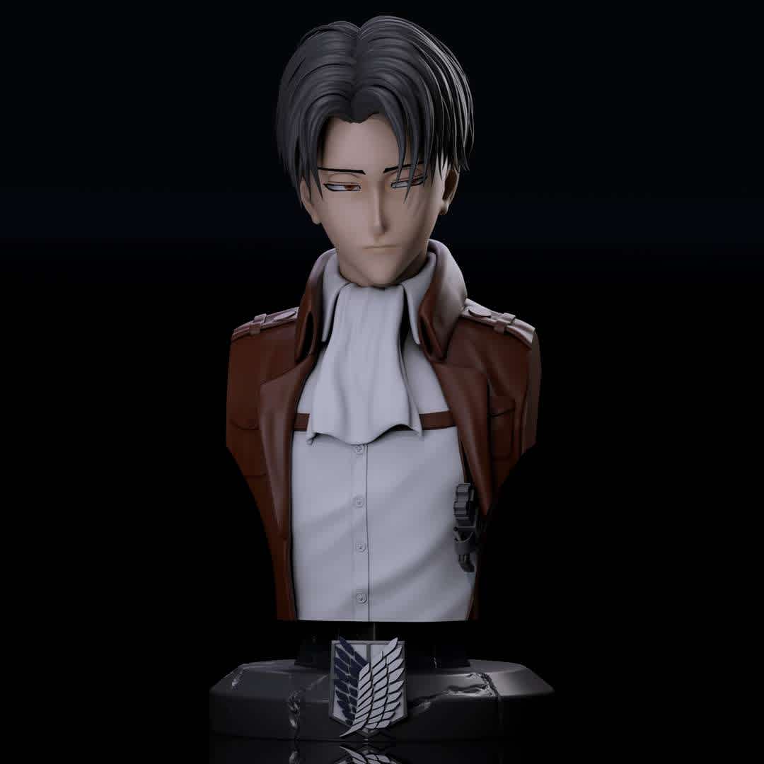 LEVI ACKERMAN, ATACK ON TITAN - Modelo de alta qualidade. - The best files for 3D printing in the world. Stl models divided into parts to facilitate 3D printing. All kinds of characters, decoration, cosplay, prosthetics, pieces. Quality in 3D printing. Affordable 3D models. Low cost. Collective purchases of 3D files.