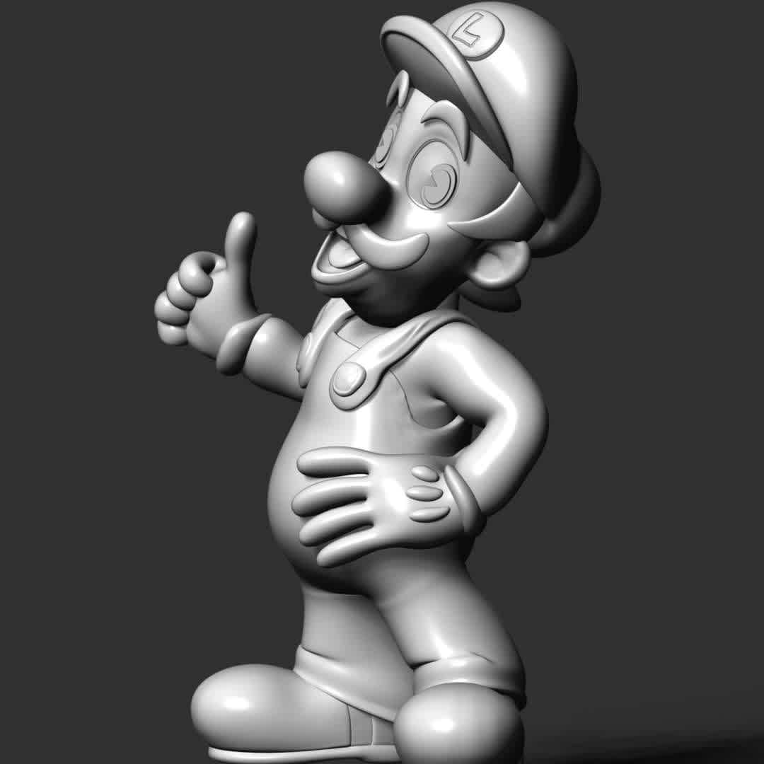 Luigi - Super Mario Bros. - Luigi is a fictional character featured in video games and related media released by Nintendo. Created by Japanese video game designer Shigeru Miyamoto, Luigi is portrayed as the younger fraternal twin brother and sidekick of Mario, Nintendo's mascot. Luigi appears in many games throughout the Mario franchise, oftentimes accompanying his brother.

These information details of this model:

- Files format: STL, OBJ (included 02 separated files is ready for 3D printing). 
 - Zbrush original file (ZTL) for you to customize as you like.
 - The height is 15 cm
 - The version 1.0 

Hope you like him.
Don't hesitate to contact me if there are any problems during printing the model. - The best files for 3D printing in the world. Stl models divided into parts to facilitate 3D printing. All kinds of characters, decoration, cosplay, prosthetics, pieces. Quality in 3D printing. Affordable 3D models. Low cost. Collective purchases of 3D files.