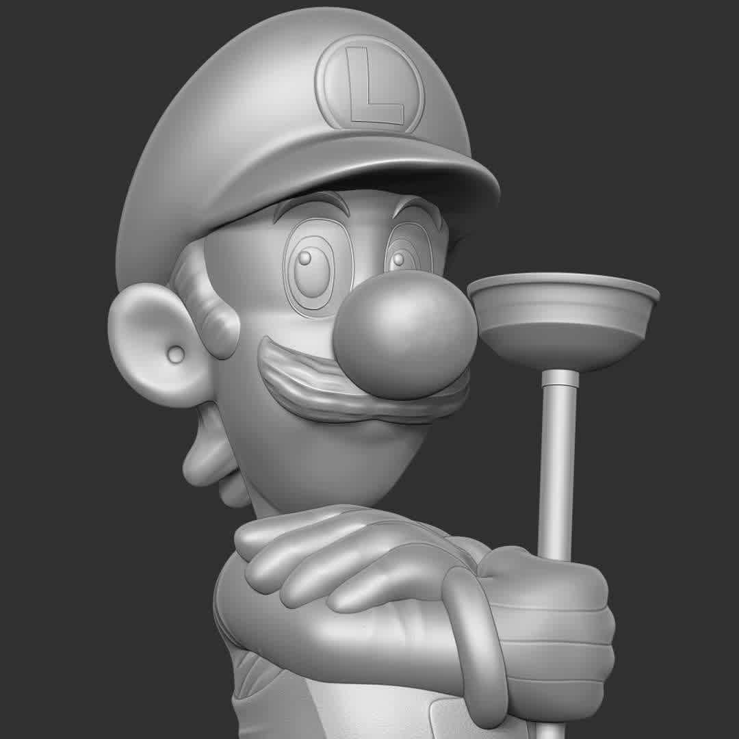 Luigi - The Super Mario Bros - "Let's go to the cinema to enjoy THE SUPER MARIO BROS movie and let's relive our childhood."

Basic parameters:

- STL, OBJ format for 3D printing with 03 discrete objects
- ZTL format for Zbrush (version 2019.1.2 or later)
- Model height: 15cm
- Version 1.0 - Polygons: 1195709 & Vertices: 644860

Model ready for 3D printing.

Please vote positively for me if you find this model useful. - The best files for 3D printing in the world. Stl models divided into parts to facilitate 3D printing. All kinds of characters, decoration, cosplay, prosthetics, pieces. Quality in 3D printing. Affordable 3D models. Low cost. Collective purchases of 3D files.