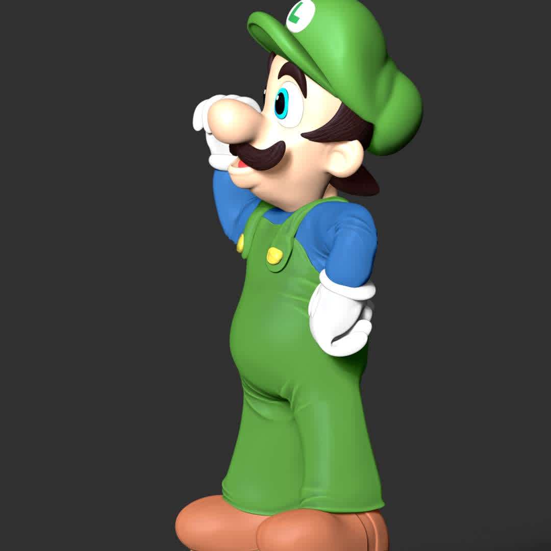 Luigi - The Super Mario - These information of model:

**- The height of current model is 30 cm and you can free to scale it.**

**- Format files: STL, OBJ to supporting 3D printing.**

Please don't hesitate to contact me if you have any issues question. - The best files for 3D printing in the world. Stl models divided into parts to facilitate 3D printing. All kinds of characters, decoration, cosplay, prosthetics, pieces. Quality in 3D printing. Affordable 3D models. Low cost. Collective purchases of 3D files.