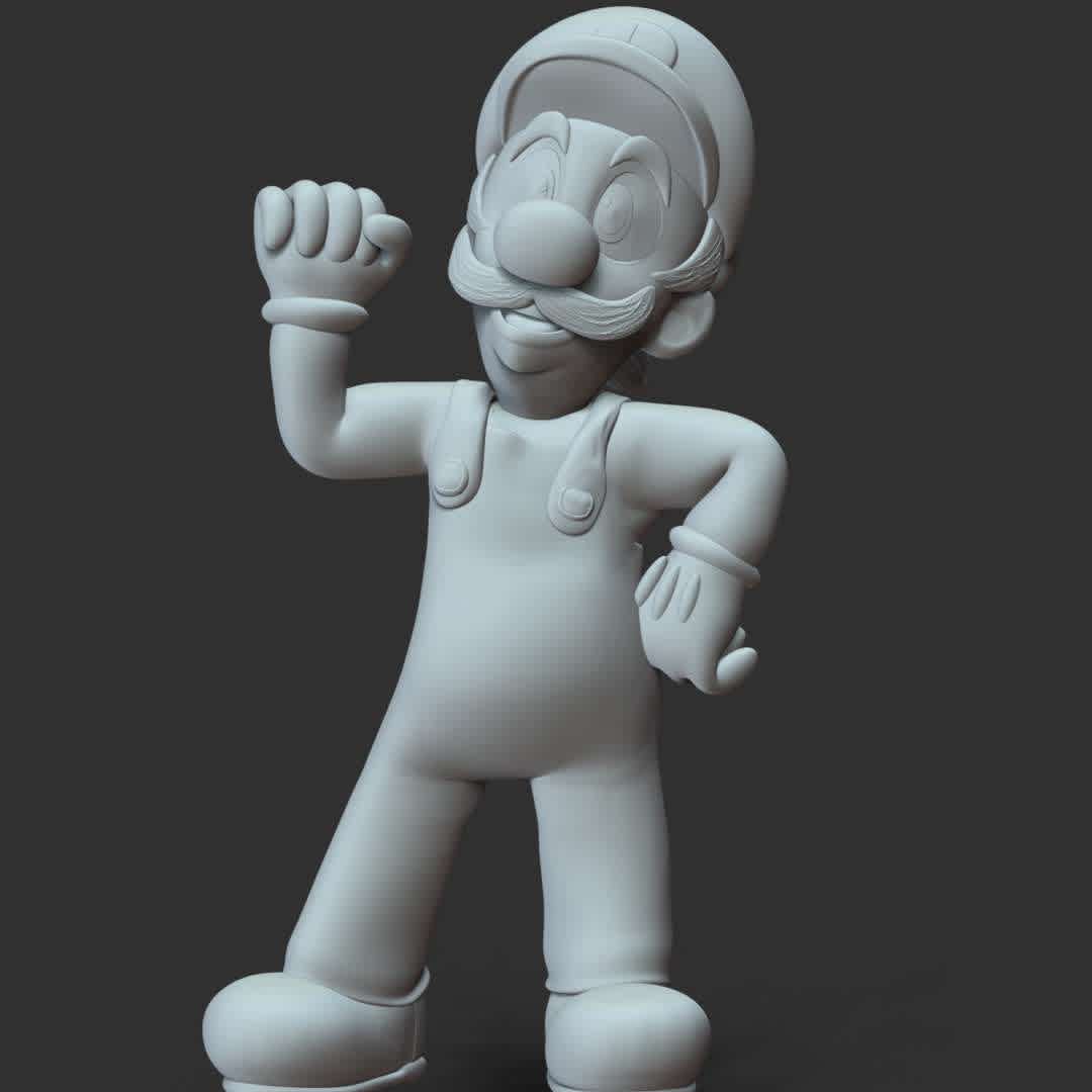 Luigi - The Super Mario - These information of model:

**- The height of current model is 30 cm and you can free to scale it.**

**- Format files: STL, OBJ to supporting 3D printing.**

Please don't hesitate to contact me if you have any issues question. - The best files for 3D printing in the world. Stl models divided into parts to facilitate 3D printing. All kinds of characters, decoration, cosplay, prosthetics, pieces. Quality in 3D printing. Affordable 3D models. Low cost. Collective purchases of 3D files.